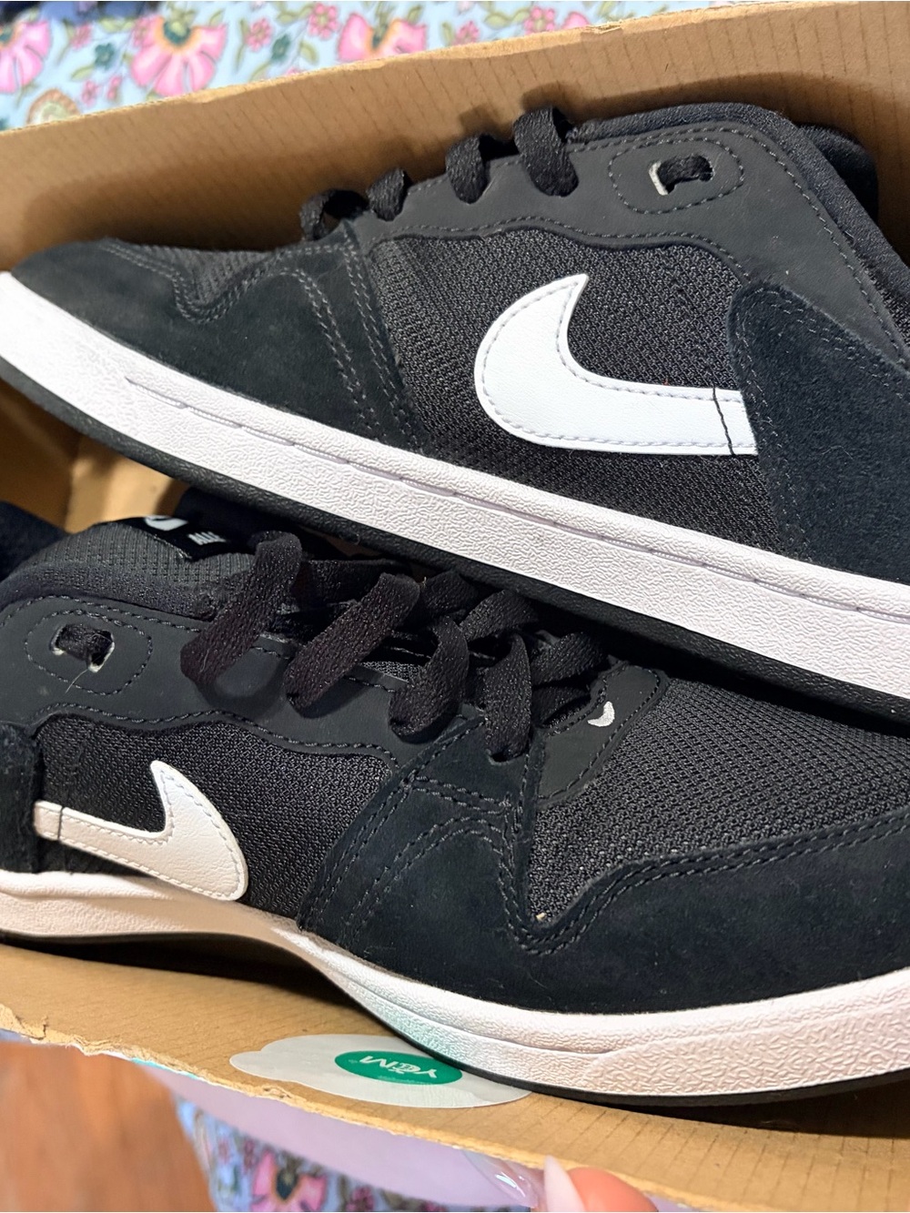 Nike Men’s Black and White Low-Top Skate Sneakers SB Alleyoop